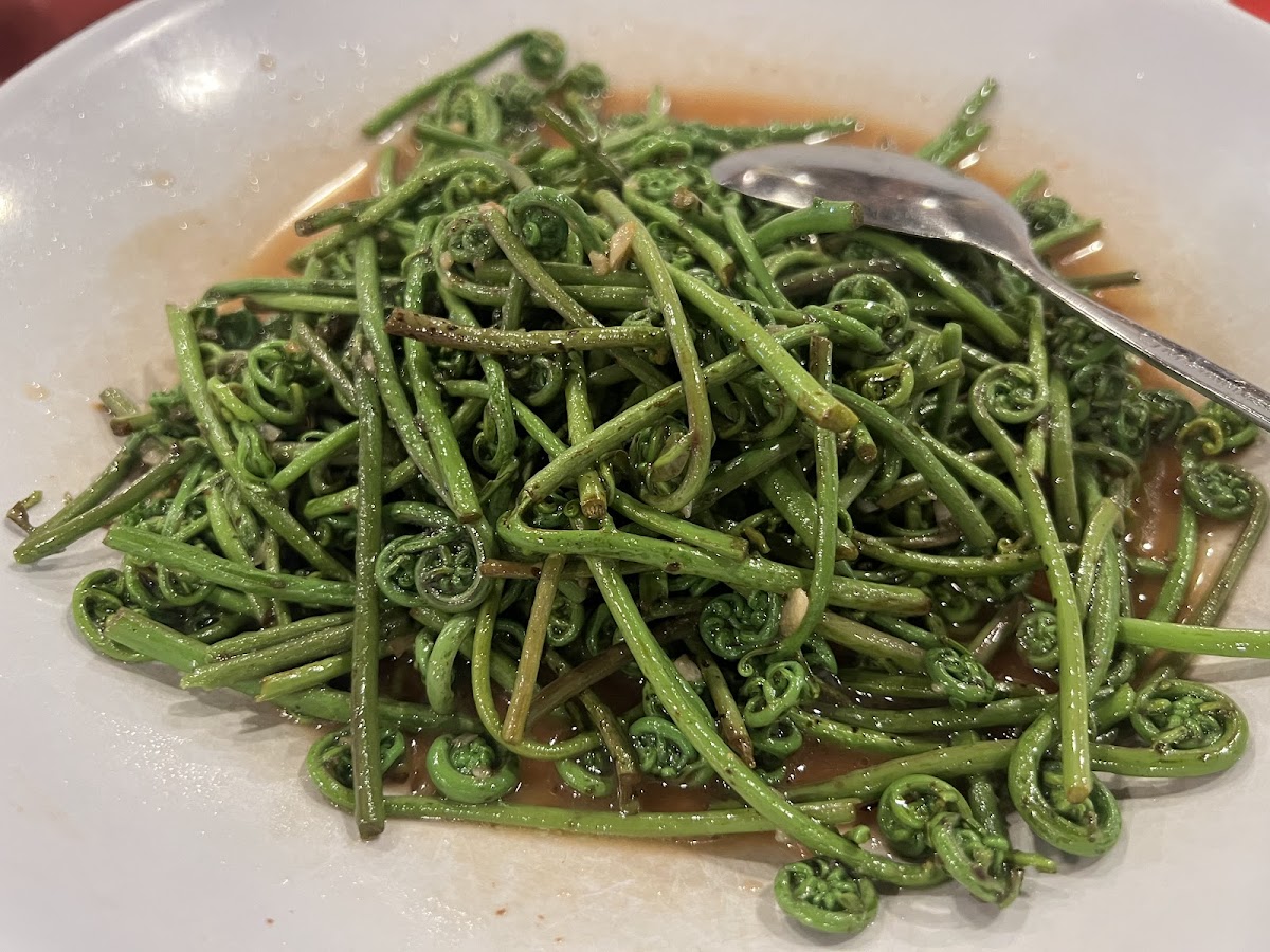 Rainforest Cafe 喜來登飲食餐廳 Photos 2